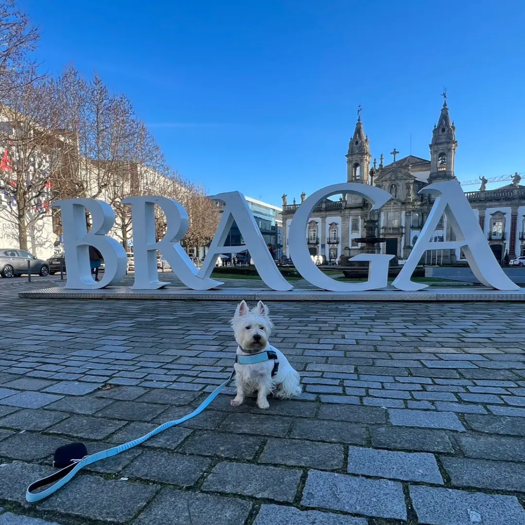 Qué ver en Braga con perro