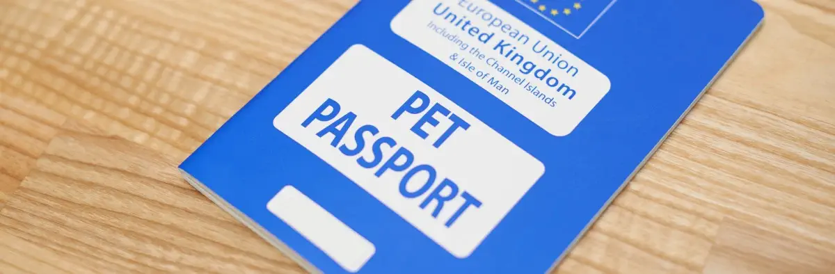 cómo viajar a Inglaterra con perro