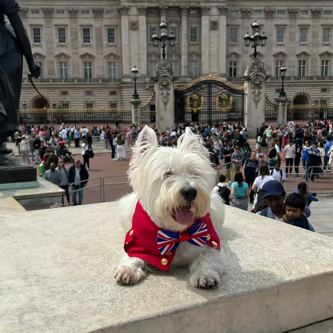 qué ver en Londres con perro