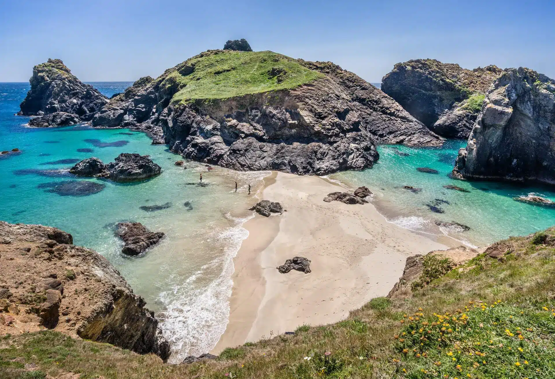 playas para perros en Inglaterra