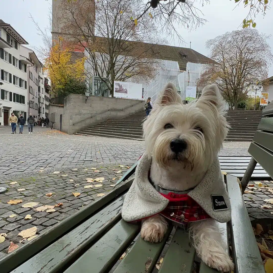 qué ver en Liechtenstein con perro